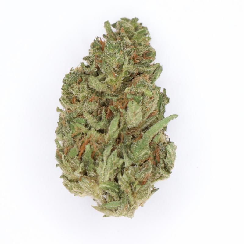 Green Gelato Cannabis Strain