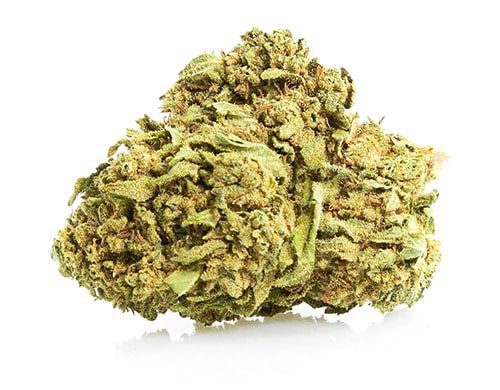 White Widow Marijuana Strain