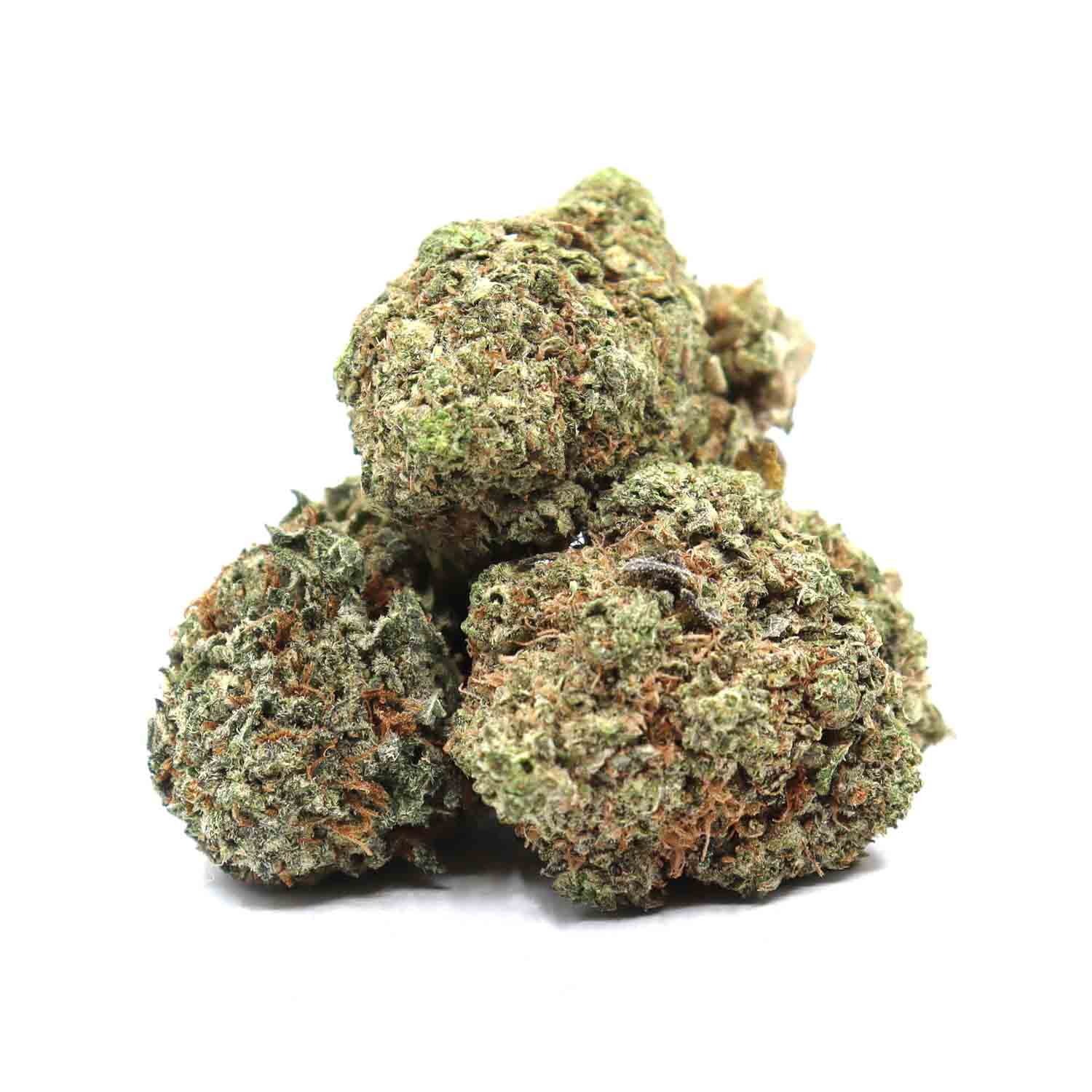 Black Tuna Weed Strain