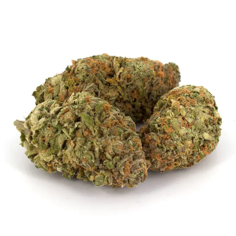 Sativa Weed Strain