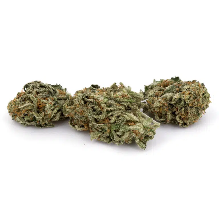 Crazy Glue Weed Strain