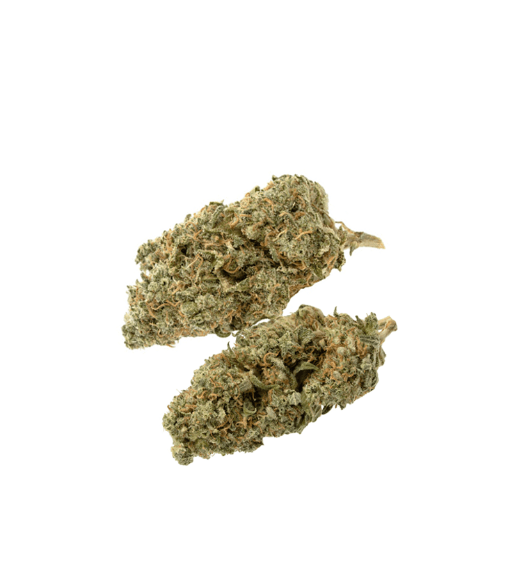 Headband Weed Strain